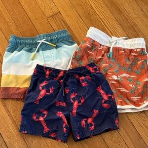 Boys Swim Trunk Lot 3T